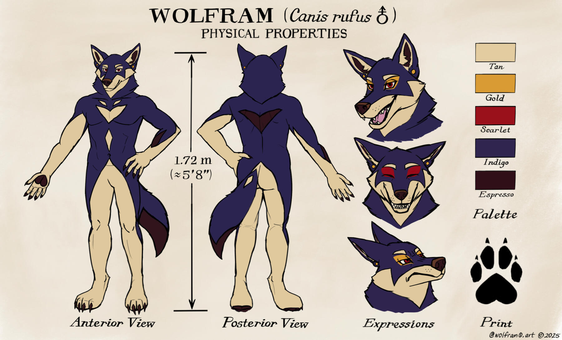 Wolfram - Physical Properties